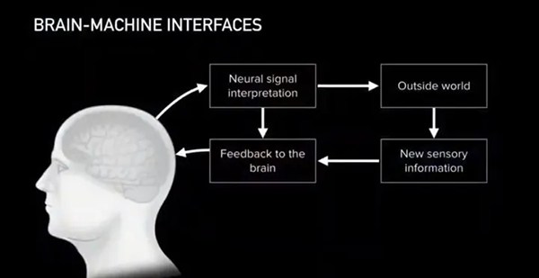 Neuralink原理圖